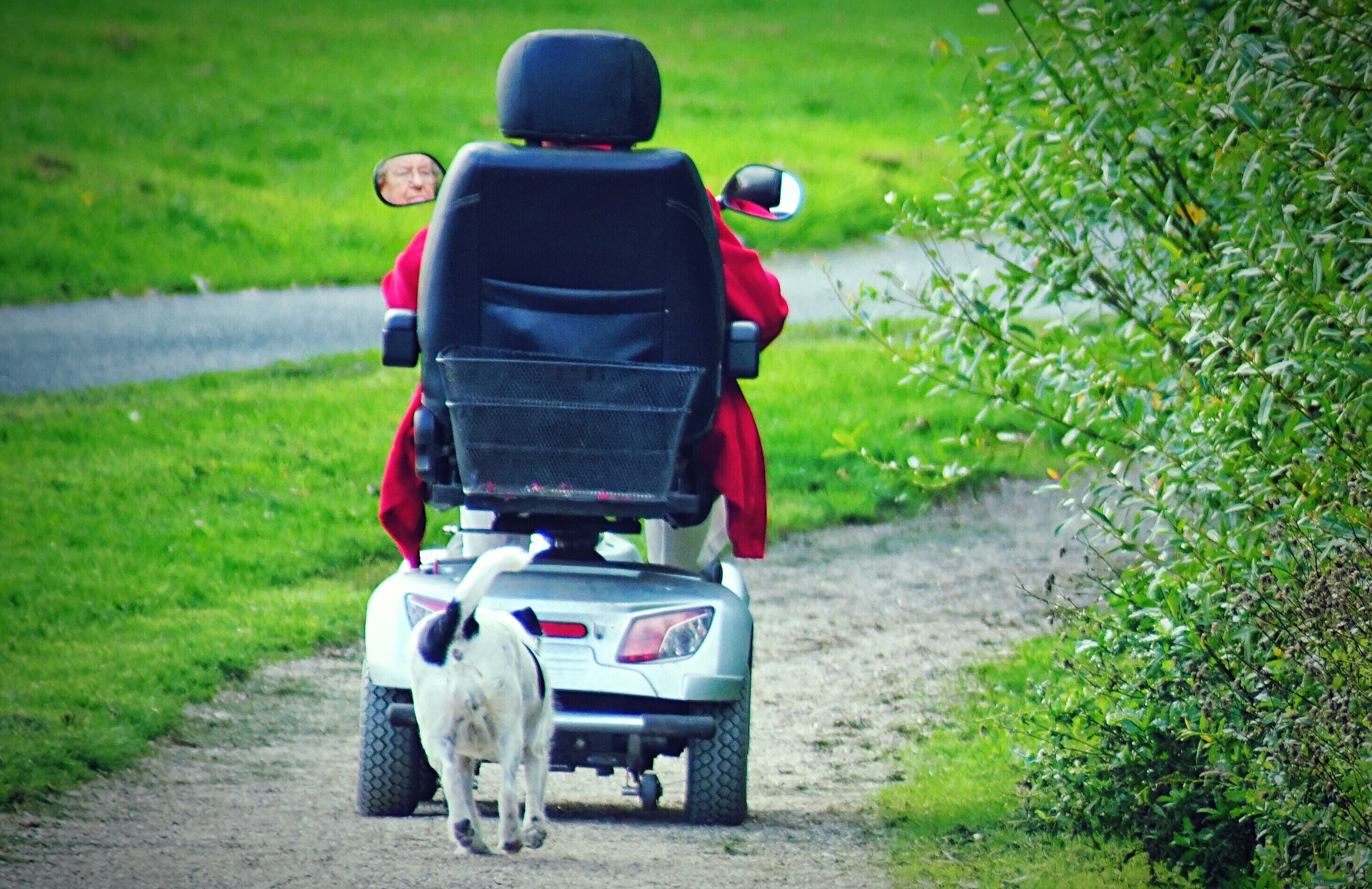 How to Tell if You Need a Mobility Scooter