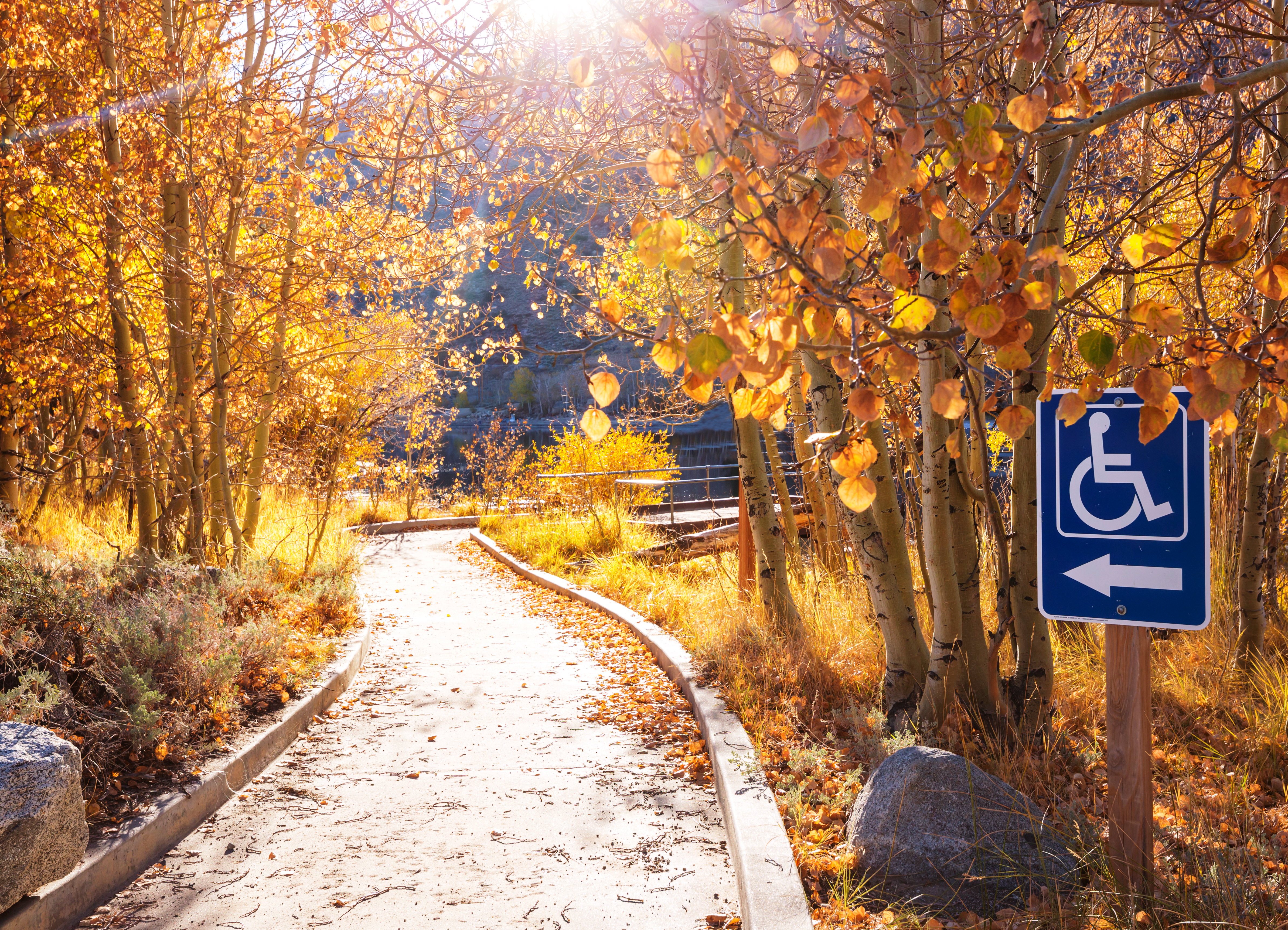Wheelchair-Friendly Attractions in Salt Lake City